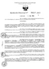 Vista preliminar de documento 5227