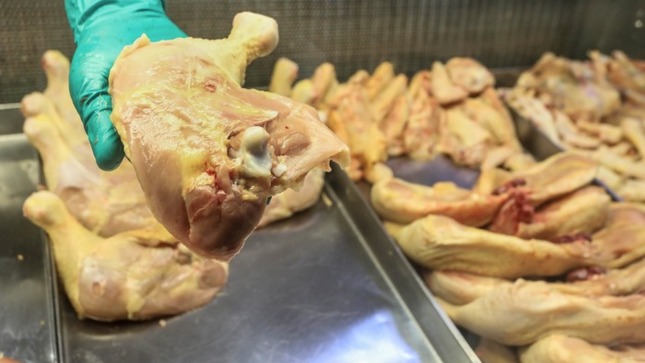  Hoy el pollo se ofrece a S/ 5.30 soles kilogramo en el mercado mayorista
