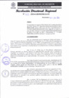 Vista preliminar de documento RDR 203-2024