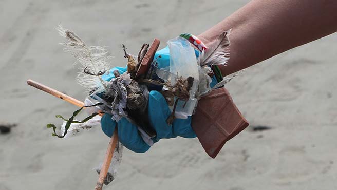 El plástico invade la bahía de Paita, amenazando el ecosistema