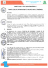 Vista preliminar de documento DIRECTIVA N°010-2024-GM-MDM-LC
