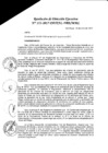 Vista preliminar de documento Resolución de Direccion Ejecutiva N°153-2017-PATPAL-FBB-MML