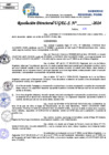 Vista preliminar de documento Resolucion Directoral N° 003826-2024