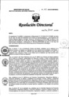 Vista preliminar de documento RD N° 163-2024-DG-INMP/MINSA