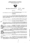 Vista preliminar de documento 5291