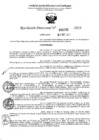 Vista preliminar de documento 5299
