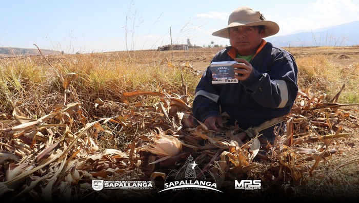 Felíz día Papá Sapallanguino