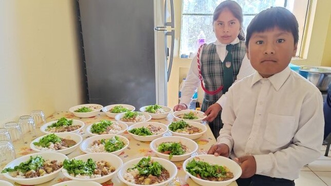 Servicio alimentario escolar