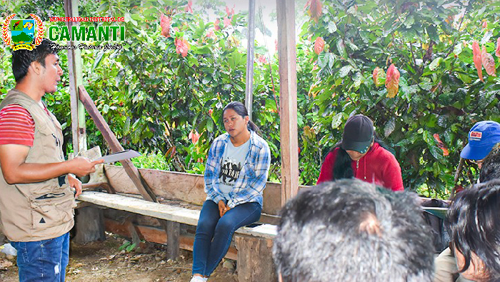 Capacitación en Cacao Impulsa el Desarrollo Agrícola en Huacyumbre