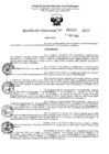 Vista preliminar de documento 5315