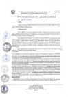 Vista preliminar de documento RESOLUCION JEFATURAL N°175-2024-GORE-ICA-PETACC-JP