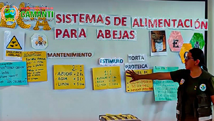 Camanti Avanza con la Capacitación de Apicultores