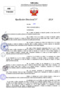Vista preliminar de documento Resolucion Directoral N° 003832-2024