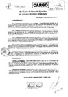 Vista preliminar de documento Resolución de Direccion Ejecutiva N°222-2017-PATPAL-FBB-MML