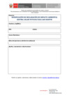 Vista preliminar de documento Formato Consulta Ciudadana