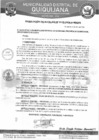 Vista preliminar de documento RA-0119-2024-MDQ