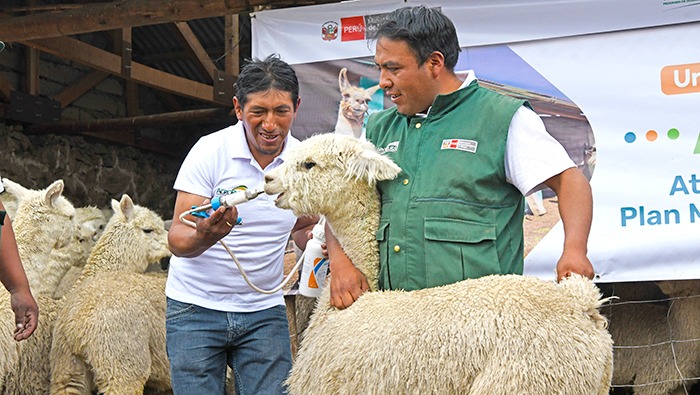 AGRO RURAL