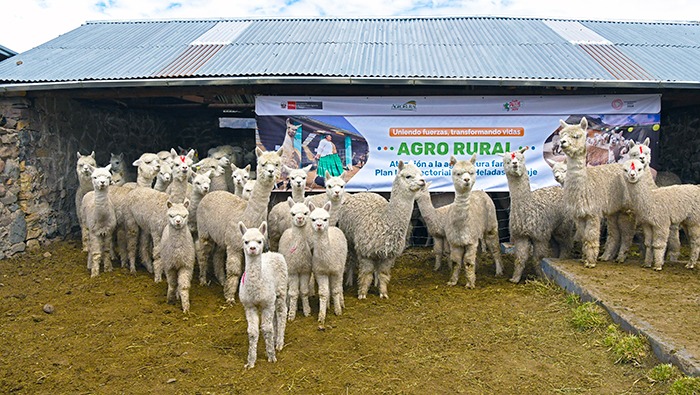 AGRO RURAL