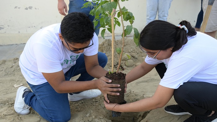 Reforestación