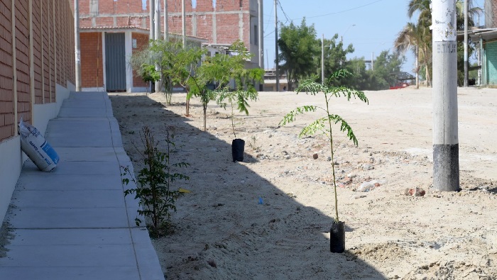 Zonas reforestadas