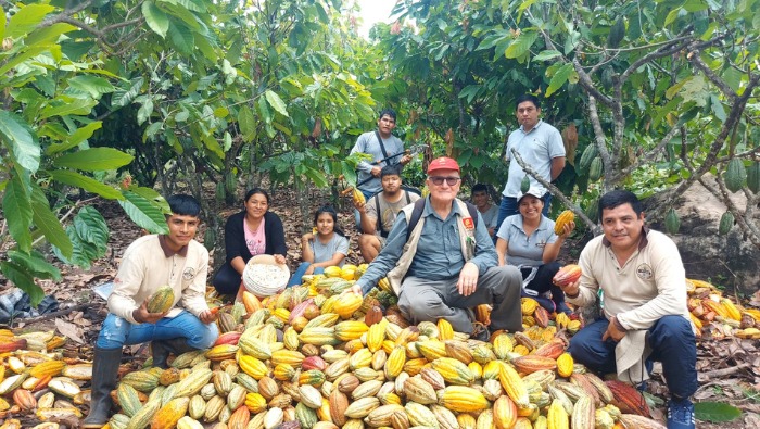 Gobierno logra que productores del VRAEM exporten 150 toneladas de cacao orgánico a Europa