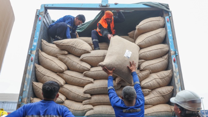 Gobierno logra que productores del VRAEM exporten 150 toneladas de cacao orgánico a Europa