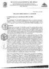 Vista preliminar de documento RGM-161-2024