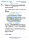 Vista preliminar de documento TDR - SERVICIO DE APOYO DE PROFESIONAL DDP.v1[FP]