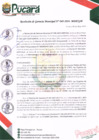 Vista preliminar de documento RESOLUCIÓN DE GERENCIA MUNICIPAL N° 049-2024-MDP/GM