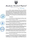 Vista preliminar de documento RDR-550-2024