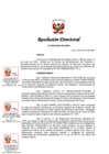 Vista preliminar de documento RD.Nro.509-2024-IN-OGRH