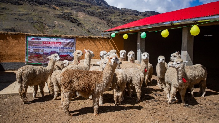 AGRO RURAL
