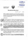 Vista preliminar de documento RD N°161-2024-DG/HNHU
