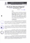 Vista preliminar de documento RDR 208-2024
