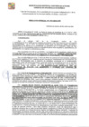 Vista preliminar de documento RDE-196-2024