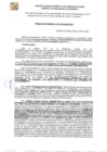 Vista preliminar de documento RDE-197-2024