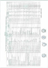 Vista preliminar de documento Anexo N°130-2017-DV-OGA