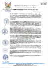 Vista preliminar de documento RA-199-2024-MPHH