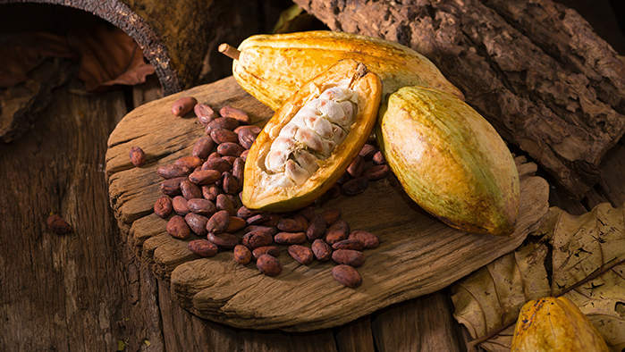 Cacao