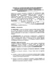 Vista preliminar de documento Anexo de la Resolución Ministerial N° 241-2001-MTC/15.04