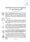 Vista preliminar de documento RER 293-2024-GOB