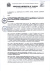 Vista preliminar de documento Ordenanza Municipal N° 009-2023