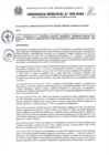 Vista preliminar de documento Ordenanza Municipal N° 006-2024