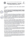 Vista preliminar de documento Ordenanza Municipal N° 005-2024