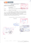 Vista preliminar de documento Declaraciones juradas 2024 - II
