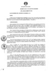 Vista preliminar de documento DA 04 - Embanderamiento