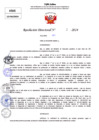 Vista preliminar de documento Resolucion Directoral N° 003872-2024
