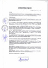Vista preliminar de documento Resolución de Direccion Ejecutiva N°010-2017-PATPAL-FBB-MML