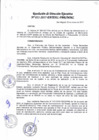 Vista preliminar de documento Resolución de Direccion Ejecutiva N°011-2017-PATPAL-FBB-MML