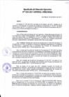 Vista preliminar de documento Resolución de Direccion Ejecutiva N°030-2017-PATPAL-FBB-MML